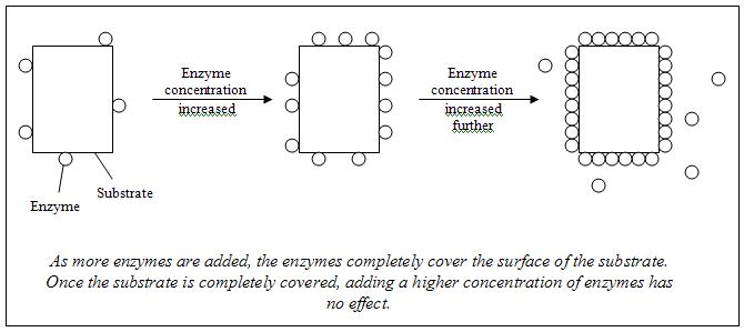 Substrate Concentration Graph