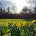 sjhoward.co.uk » Signs of spring