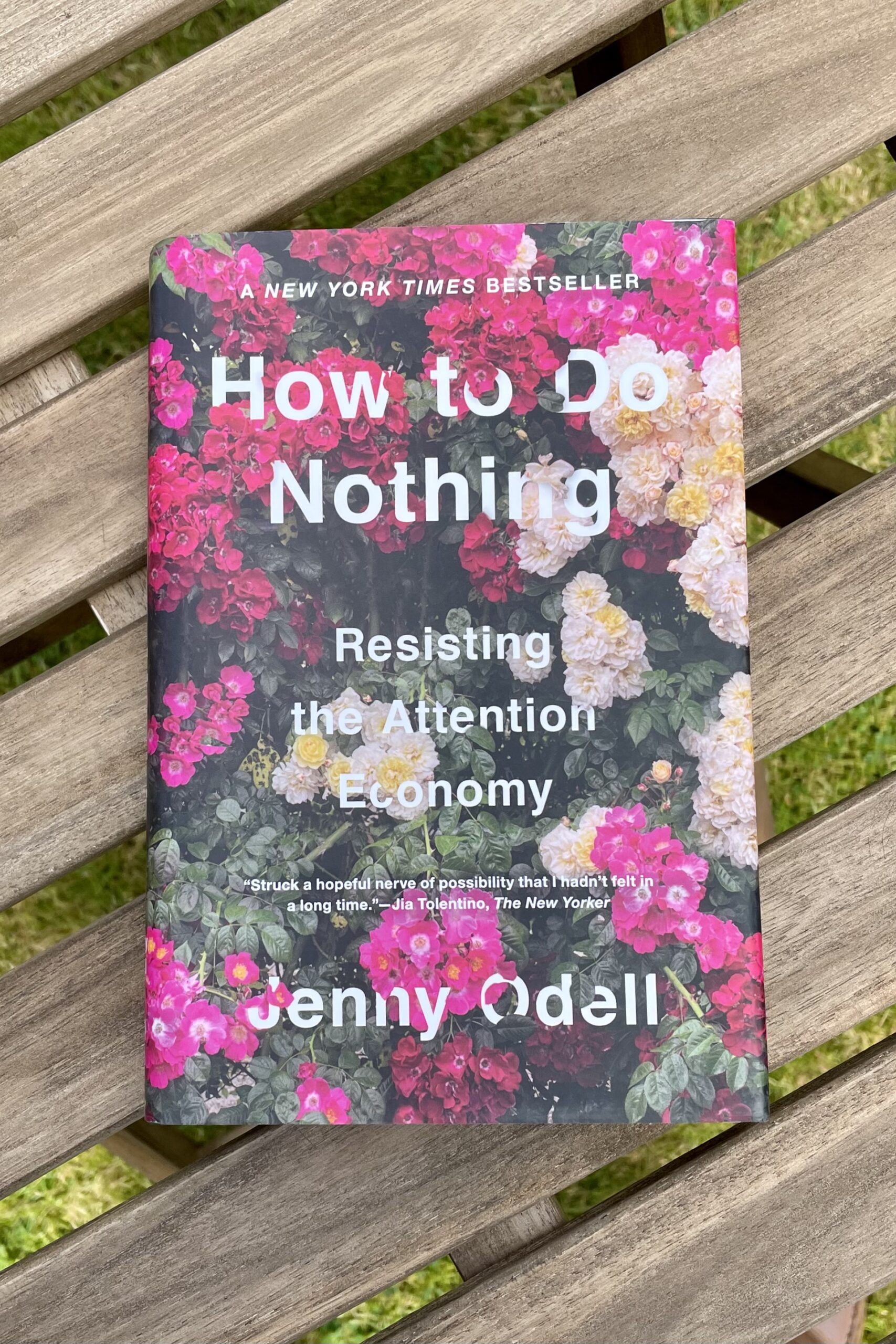 jenny odell jenny odell